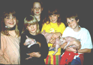 Ferkel