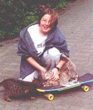 Katzen